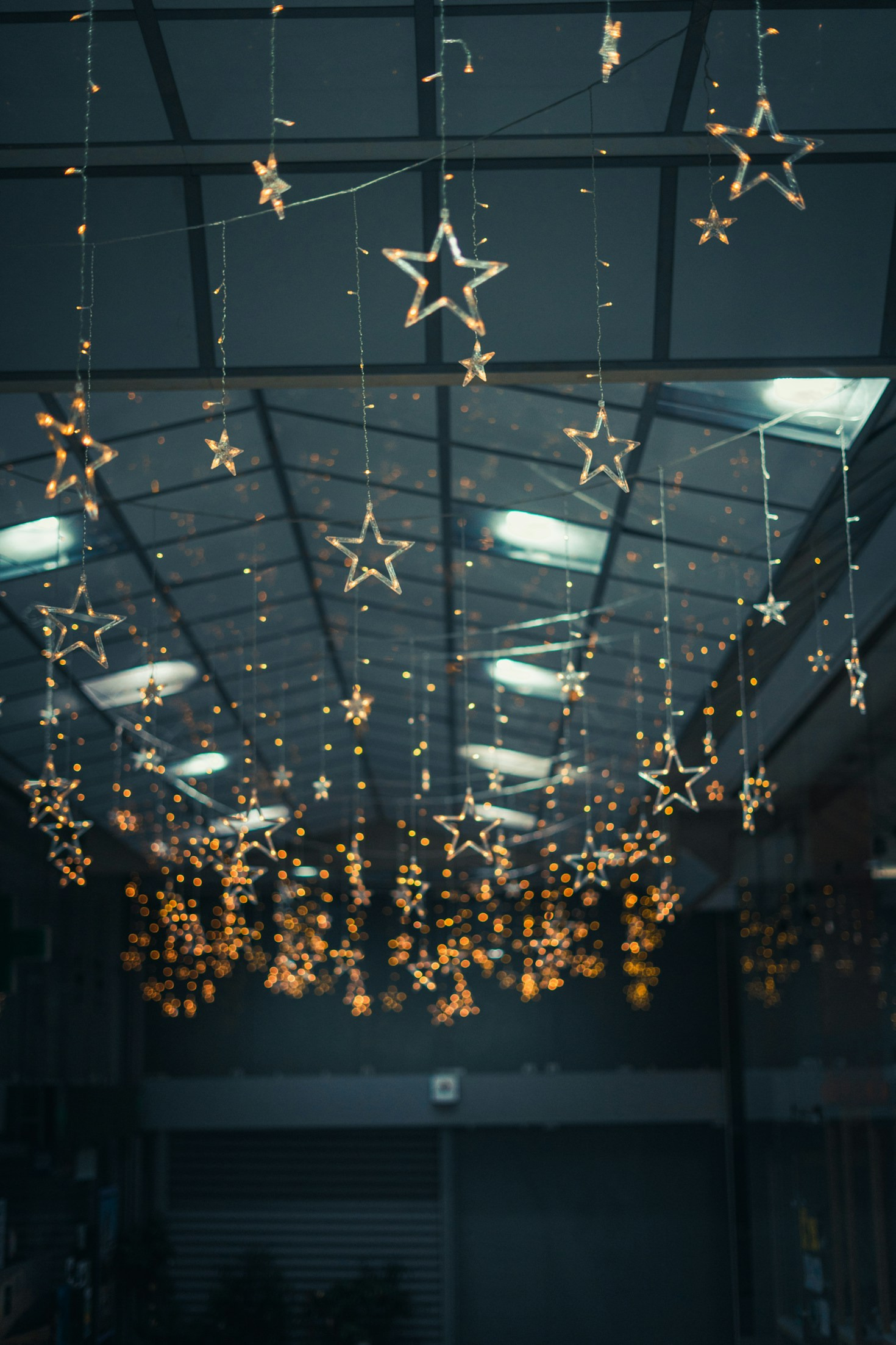 Creating a Cozy Space for Collectible Enthusiasts