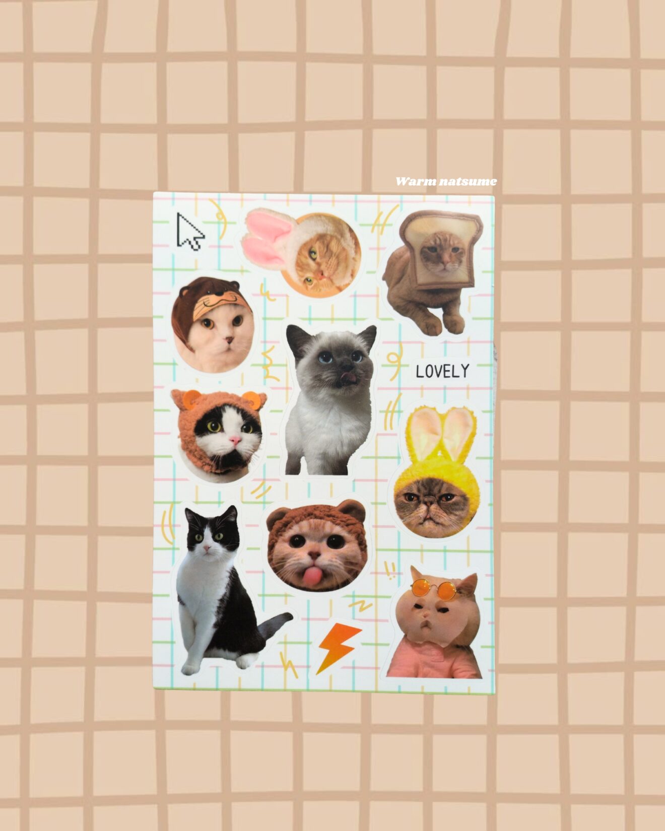 Silly Cat Series 02 Sticker sheets - Warm Natsume